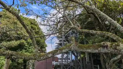 金比羅宮(千葉県)