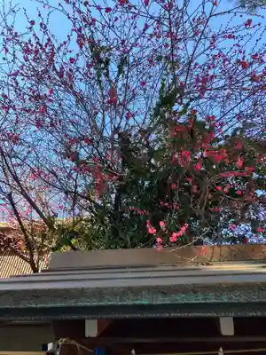 猿田彦神社(東京都)