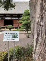 瑞泉寺(愛知県)