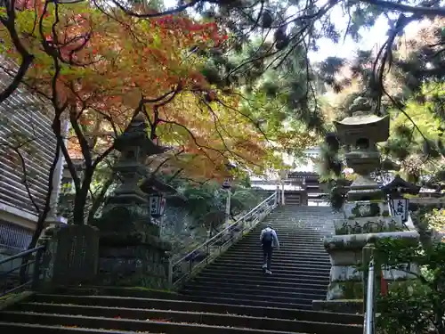 最乗寺（道了尊）のその他建物