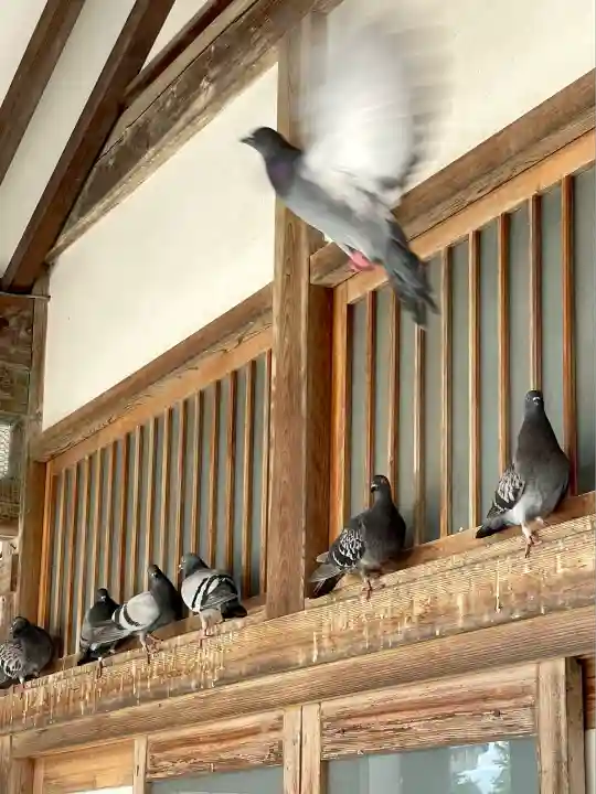 今市報徳二宮神社(栃木県)