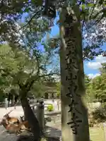 東大寺のその他建物