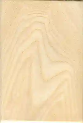 土佐神社の御朱印帳