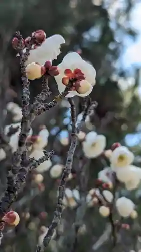 清凉寺(京都府)