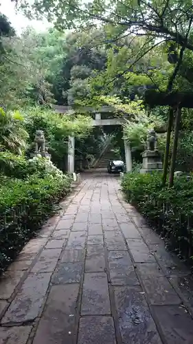 赤坂氷川神社の鳥居