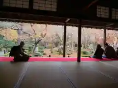 圓光寺の庭園