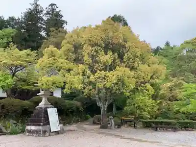 観心寺のその他建物