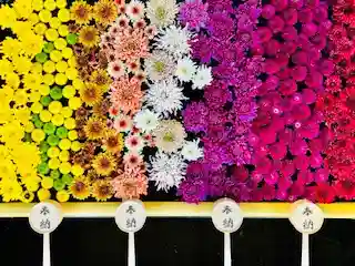 土津神社|こどもと出世の神さま(福島県)