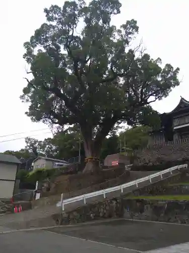 鎮西大社諏訪神社(長崎県)