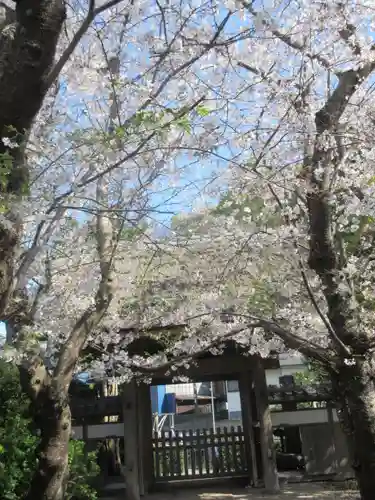 極楽寺（霊鷲山感應院極楽律寺）の景色