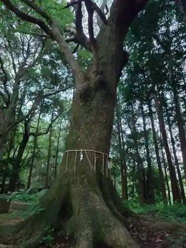 六嶽神社(下社)(福岡県)