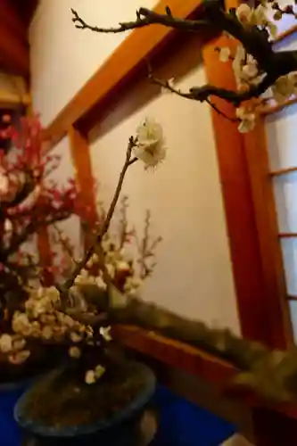 柳澤神社の芸術