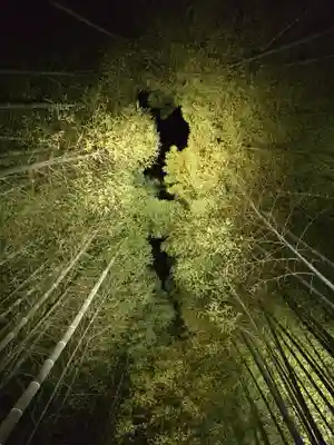 高台寺（高台寿聖禅寺・高臺寺）(京都府)