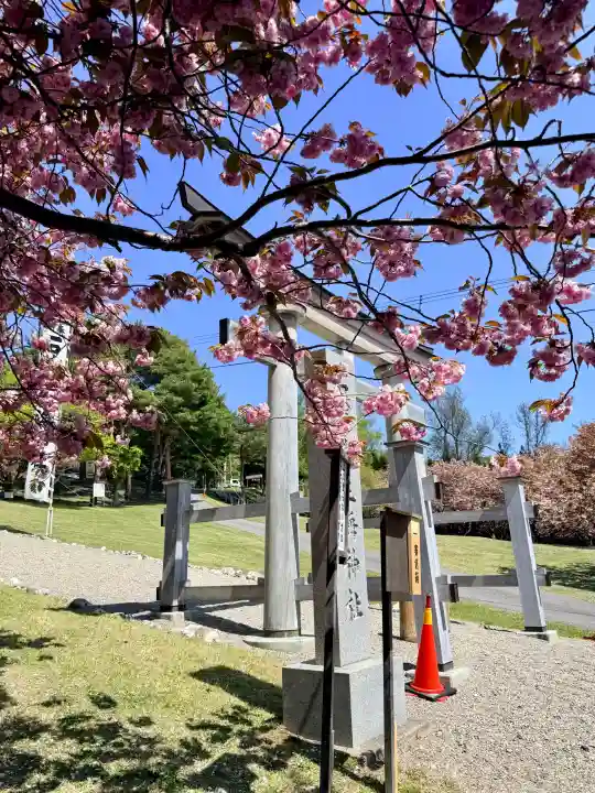 石崎地主海神社の{uncategorized: "未分類", other: "その他", undefined: "問題あり", building: "その他建物", grave: "お墓", sacred_gate: "鳥居", guardian: "狛犬", statue: "像", buddha: "仏像", history: "歴史", nature: "自然", garden: "庭園", animal: "動物", pagoda: "塔", temizu: "手水舎", mountain_gate: "山門・神門", sanctuary: "本殿・本堂", subordinate: "末社・摂社", art: "芸術", scenery: "景色", jizo: "地蔵", ema: "絵馬", goshuin: "御朱印", omikuji: "おみくじ", items: "授与品その他", amulet: "お守り", goshuincho: "御朱印帳", eats: "食事", festival: "お祭り", votive_dance: "神楽", shichigosan: "七五三参", wedding: "結婚式", experience: "体験その他", initially: "初詣", around: "周辺", anti_infection: "感染症対策"}