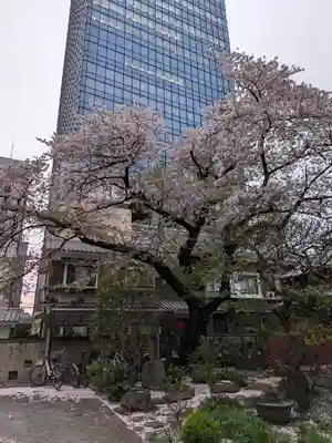 常圓寺(東京都)