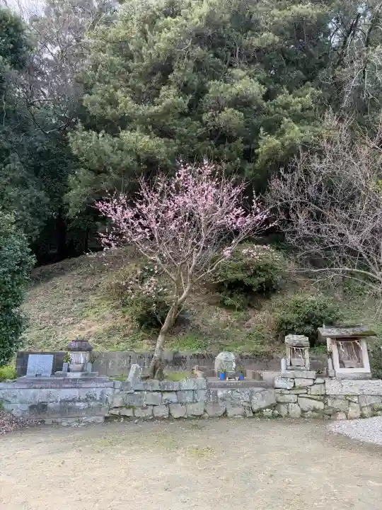 四所神社の{uncategorized: "未分類", other: "その他", undefined: "問題あり", building: "その他建物", grave: "お墓", sacred_gate: "鳥居", guardian: "狛犬", statue: "像", buddha: "仏像", history: "歴史", nature: "自然", garden: "庭園", animal: "動物", pagoda: "塔", temizu: "手水舎", mountain_gate: "山門・神門", sanctuary: "本殿・本堂", subordinate: "末社・摂社", art: "芸術", scenery: "景色", jizo: "地蔵", ema: "絵馬", goshuin: "御朱印", omikuji: "おみくじ", items: "授与品その他", amulet: "お守り", goshuincho: "御朱印帳", eats: "食事", festival: "お祭り", votive_dance: "神楽", shichigosan: "七五三参", wedding: "結婚式", experience: "体験その他", initially: "初詣", around: "周辺", anti_infection: "感染症対策"}