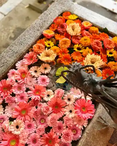 札幌諏訪神社の手水