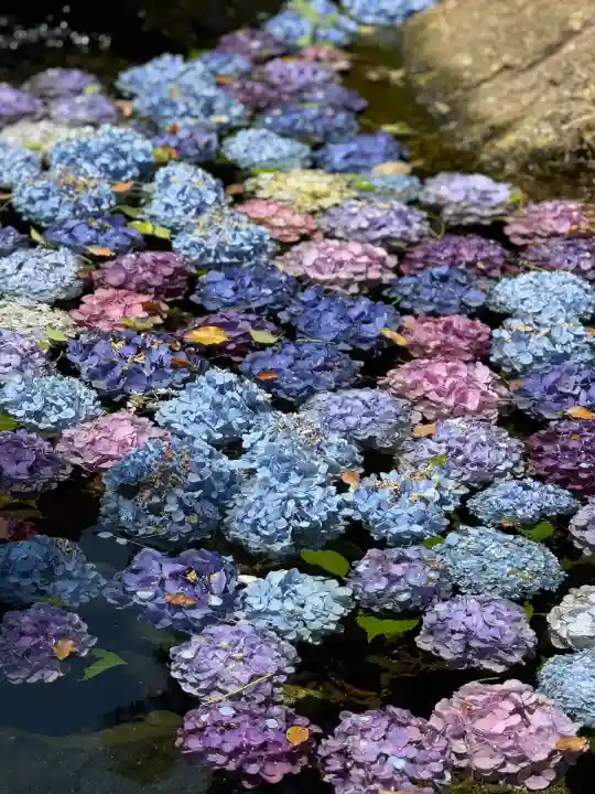 武蔵一宮氷川神社(埼玉県)