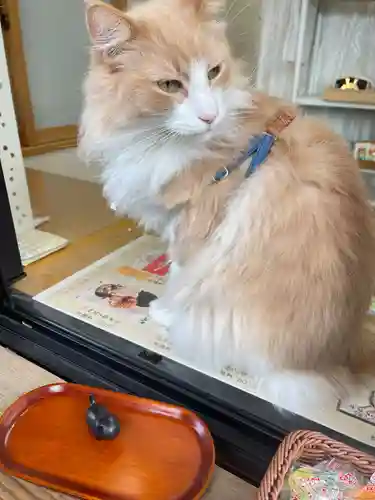 駒込妙義神社(東京都)