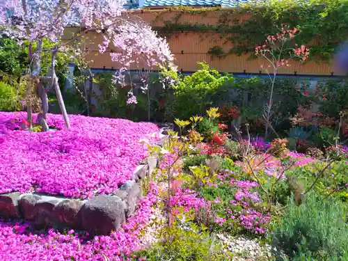 寿量山　速成寺(奈良県)