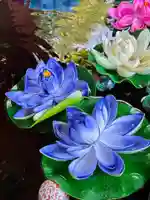 輪王寺両大師堂(寛永寺輪王殿)(東京都)