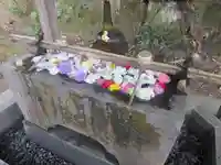 安國論寺(安国論寺)の手水舎