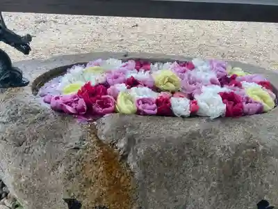 金井神社の手水舎