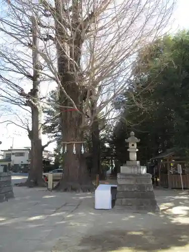 春日部八幡神社(埼玉県)