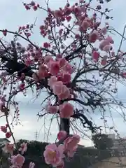 美奈宜神社の自然