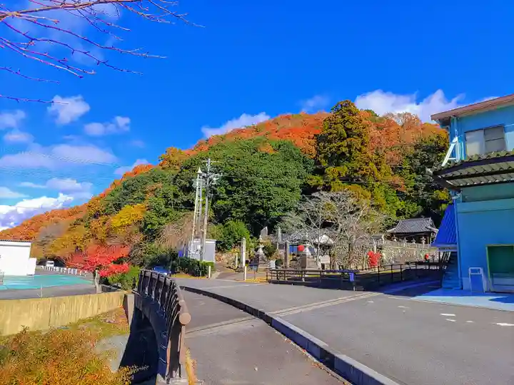 栗栖神社の自然