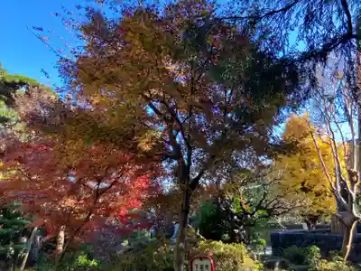 普門院(東京都)
