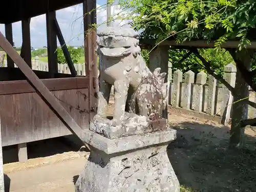 五社大神社の狛犬