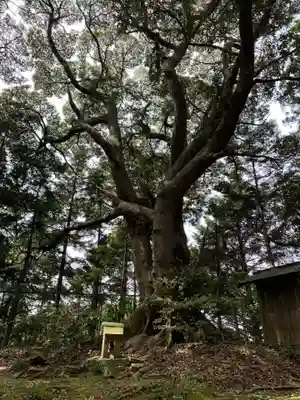 須賀神社(千葉県)
