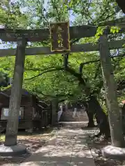 春日神社の鳥居