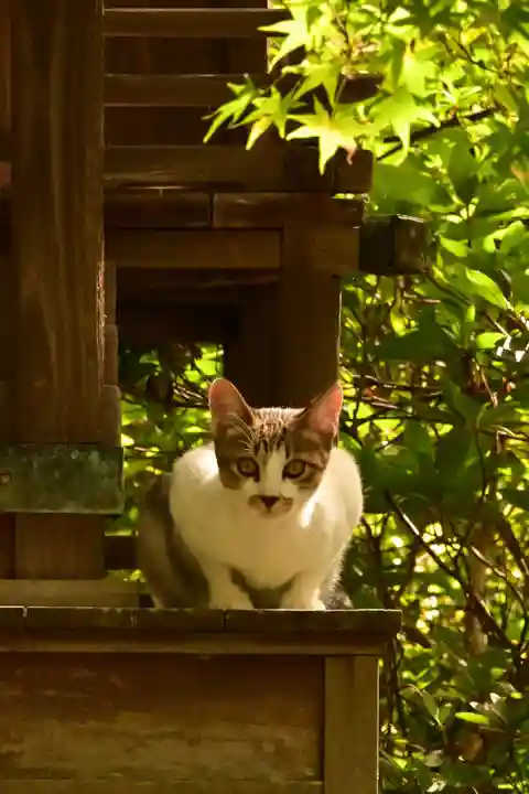 城上神社(島根県)