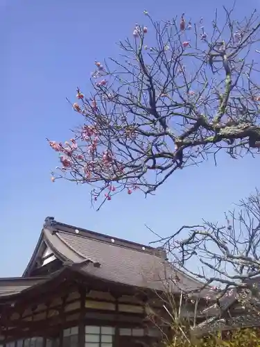 医王山福楽寺の本殿