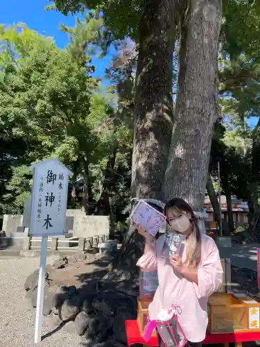 玉村八幡宮(群馬県)