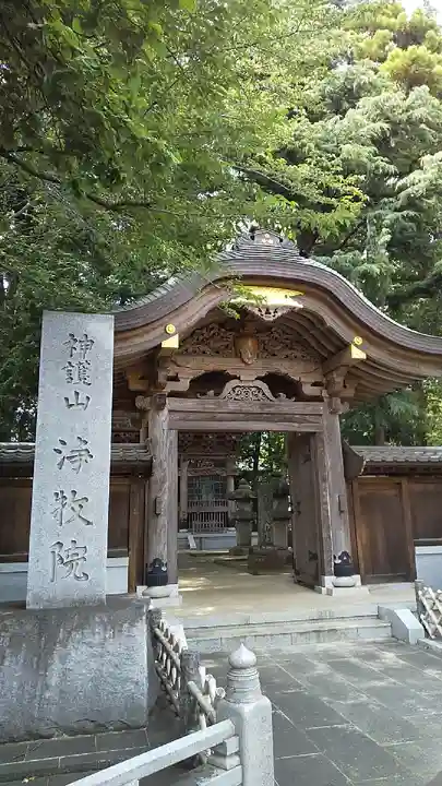 浄牧院の山門・神門