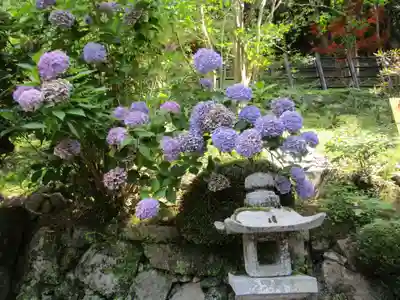 長谷寺(奈良県)