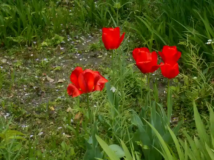 極楽寺(霊鷲山感應院極楽律寺)の庭園