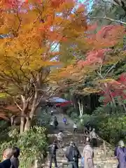 室生寺(奈良県)