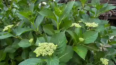 善光寺(山形県)