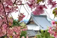 埼玉厄除け開運大師・龍泉寺(切り絵御朱印発祥の寺)の自然