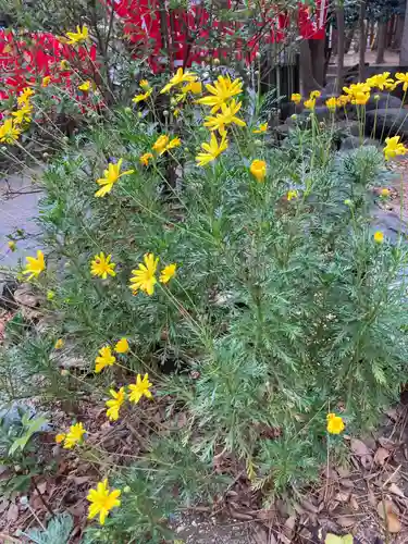 平塚八幡宮(神奈川県)