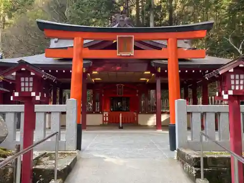 箱根神社の鳥居