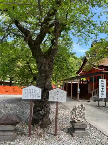 富士山本宮浅間大社(静岡県)