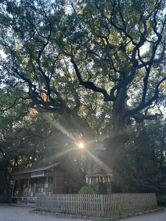 熱田神宮(愛知県)