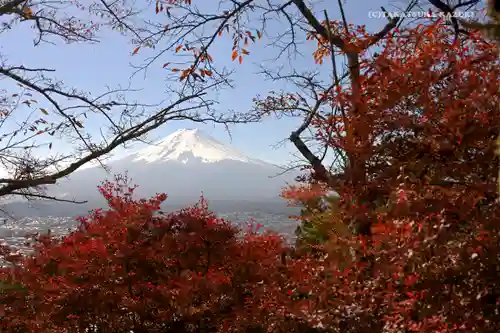 新倉山浅間公園忠霊塔の景色