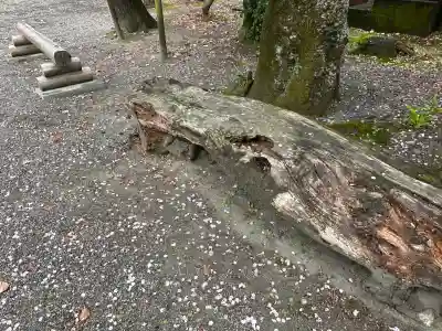 貴布禰神社(静岡県)