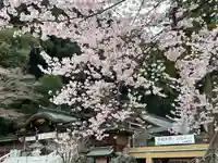 高麗神社(埼玉県)